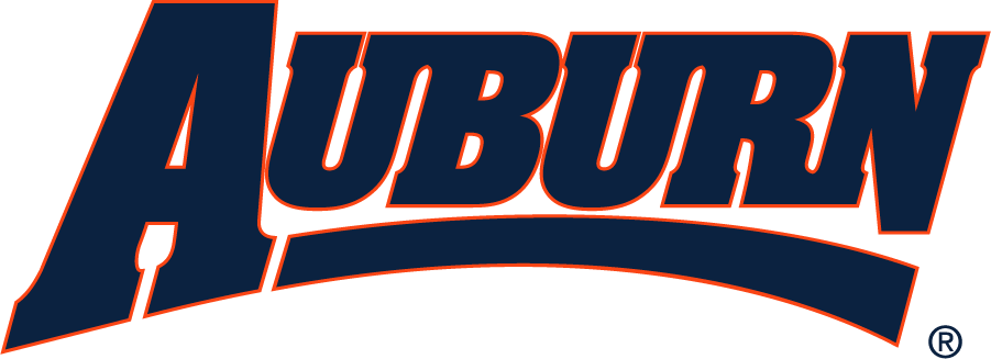 Auburn Tigers 1997-2006 Wordmark Logo t shirts iron on transfers